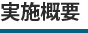 実施概要