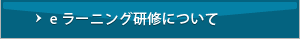 ｅラーニング研修について