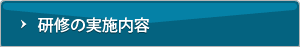研修の実施内容