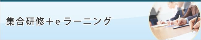 集合研修＋ｅラーニング