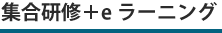 集合研修＋ｅラーニング