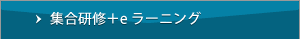 集合研修＋ｅラーニング